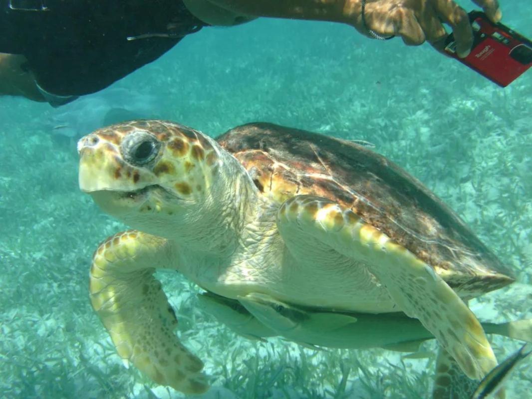Tropical Paradise เคย์คอล์กเกอร์ ภายนอก รูปภาพ