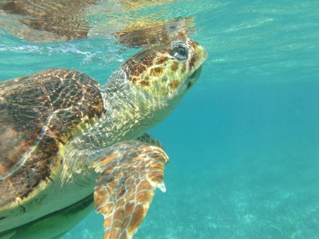Tropical Paradise เคย์คอล์กเกอร์ ภายนอก รูปภาพ