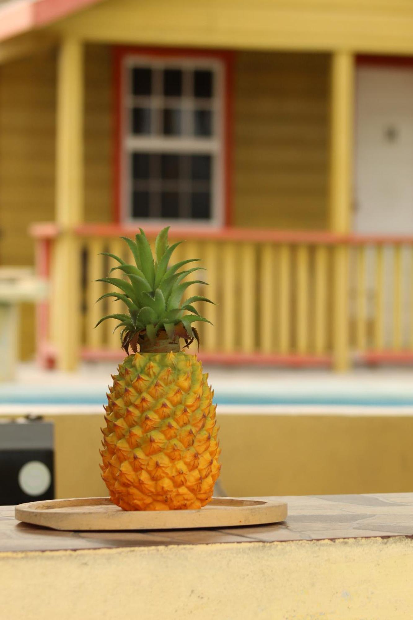 Tropical Paradise เคย์คอล์กเกอร์ ภายนอก รูปภาพ