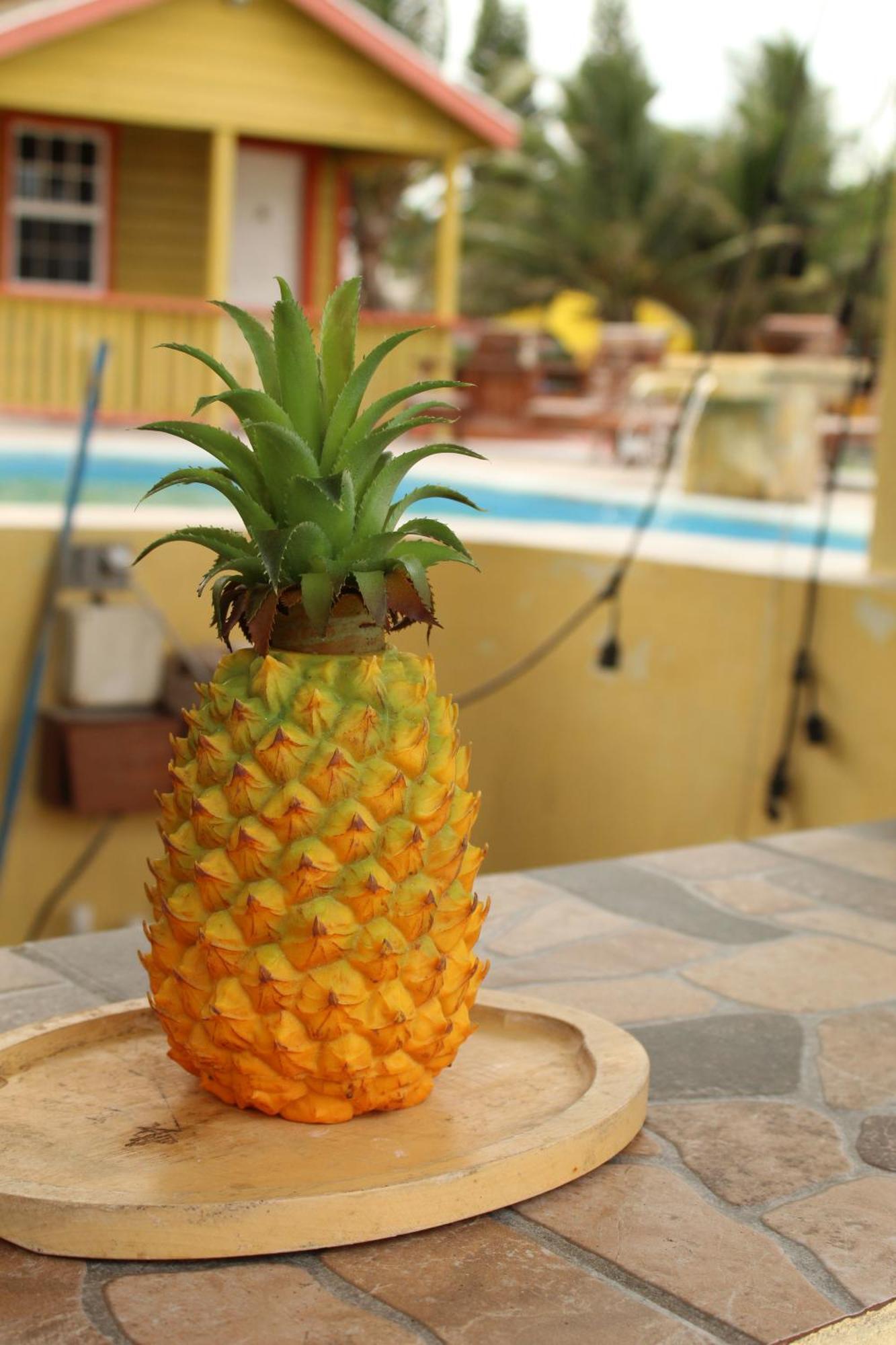 Tropical Paradise เคย์คอล์กเกอร์ ภายนอก รูปภาพ
